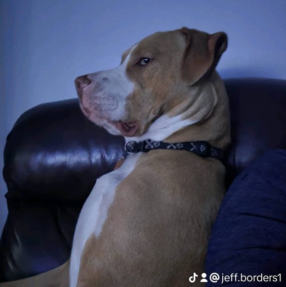 jeff_borders